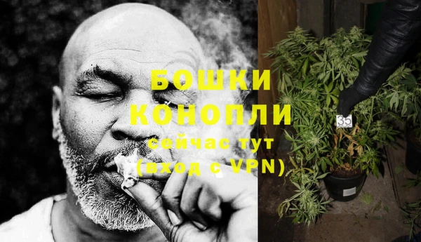 индика Богородицк